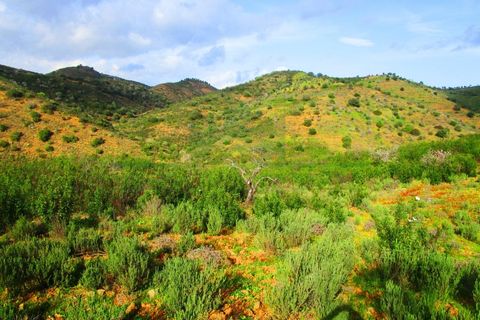 Terra a Odeleite, Faro, Odeleite - € 20.000 | Ref: 2001-132 - foto 7