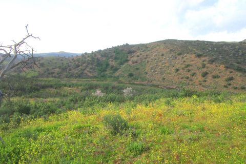 Terra a Odeleite, Faro, Odeleite - € 20.000 | Ref: 2001-132 - foto 8