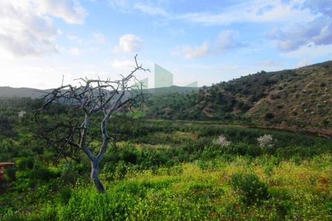 Terra a Odeleite, Faro, Odeleite - € 20.000 | Ref: 2001-132 - foto 9