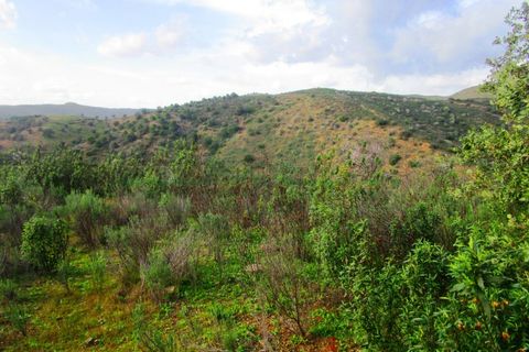 Terra a Odeleite, Faro, Odeleite - € 20.000 | Ref: 2001-132 - foto 10