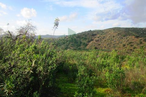 Terra a Odeleite, Faro, Odeleite - € 20.000 | Ref: 2001-132 - foto 11