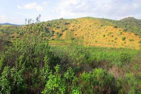 Terra a Odeleite, Faro, Odeleite - € 20.000 | Ref: 2001-132 - foto 12