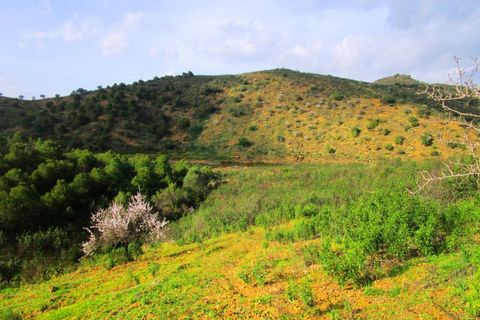 Terra a Odeleite, Faro, Odeleite - € 20.000 | Ref: 2001-132 - foto 13