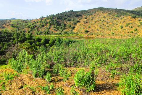 Terra a Odeleite, Faro, Odeleite - € 20.000 | Ref: 2001-132 - foto 14
