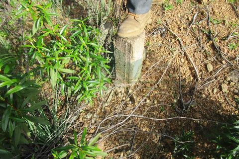 Terra a Odeleite, Faro, Odeleite - € 20.000 | Ref: 2001-132 - foto 15