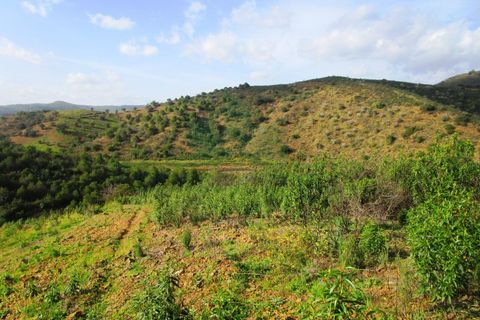 Terra a Odeleite, Faro, Odeleite - € 20.000 | Ref: 2001-132 - foto 16