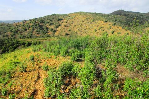 Terra a Odeleite, Faro, Odeleite - € 20.000 | Ref: 2001-132 - foto 17