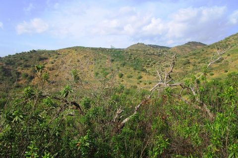 Terra a Odeleite, Faro, Odeleite - € 20.000 | Ref: 2001-132 - foto 18