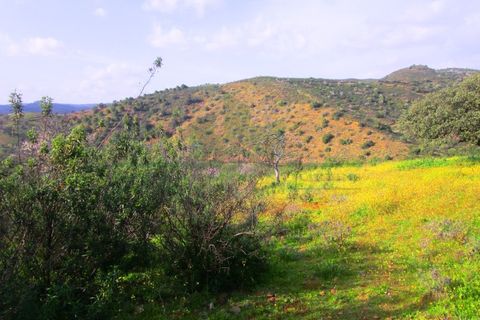 Terra a Odeleite, Faro, Odeleite - € 20.000 | Ref: 2001-132 - foto 19