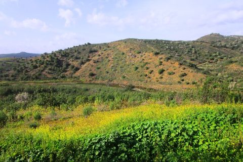 Terra a Odeleite, Faro, Odeleite - € 20.000 | Ref: 2001-132 - foto 21