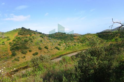 Terra a Odeleite, Faro, Odeleite - € 20.000 | Ref: 2001-132 - foto 22