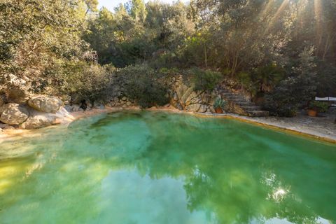 Cortijo i Andratx, Mallorca, Andratx - € 3.950.000 | Ref: SWOAND5251 - foto 20