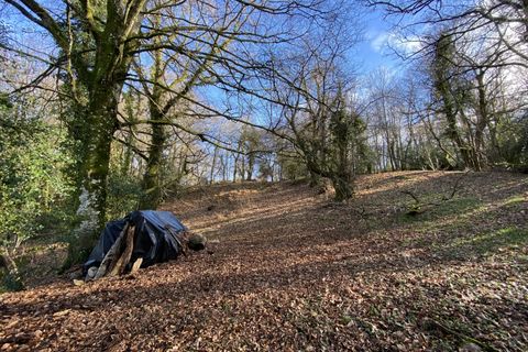 Landsbyhus i Blond, Haute-Vienne, Blond - € 88 000 | Ref: BVI73799 - foto 3