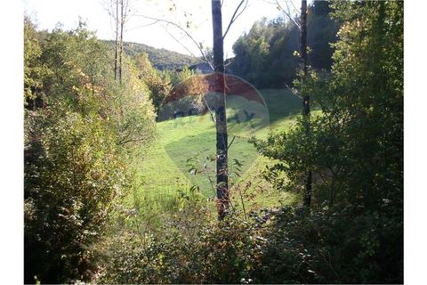 Helårsgrund i Fafe, Braga, Fafe - € 49.000 | Ref: 123331056-129 - foto 2