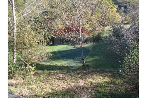Helårsgrund i Fafe, Braga, Fafe - € 49.000 | Ref: 123331056-129 - foto 3
