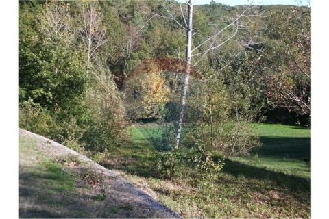 Helårsgrund i Fafe, Braga, Fafe - € 49.000 | Ref: 123331056-129 - foto 4