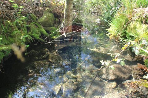 Helårsgrund i Fafe, Braga, Fafe - € 49.000 | Ref: 123331056-129 - foto 7