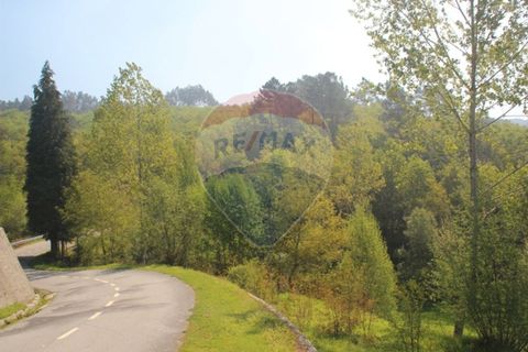 Helårsgrund i Fafe, Braga, Fafe - € 49.000 | Ref: 123331056-129 - foto 10