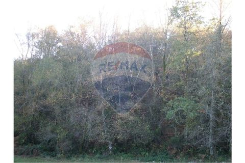 Tomt i Fafe, Braga, Fafe - € 45 000 | Ref: 123331056-130 - foto 2