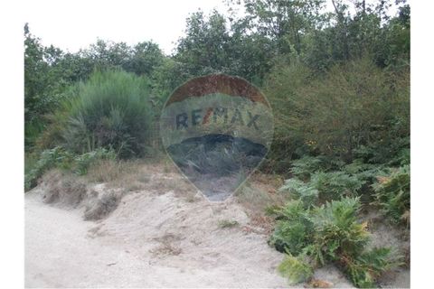 Helårsgrund i Fafe, Braga, Fafe - € 25.000 | Ref: 123331056-131 - foto 2