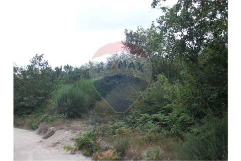 Helårsgrund i Fafe, Braga, Fafe - € 25.000 | Ref: 123331056-131 - foto 3