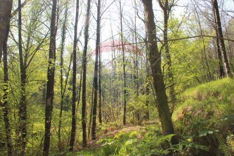 Helårsgrund i Fafe, Braga, Fafe - € 25.000 | Ref: 123331056-131 - foto 4