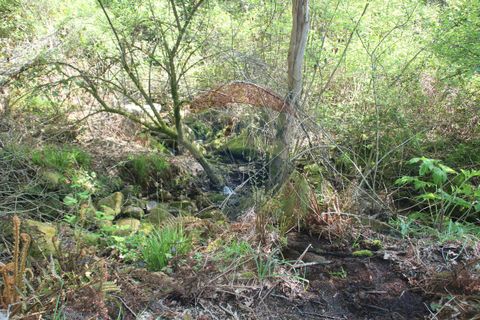 Helårsgrund i Fafe, Braga, Fafe - € 25.000 | Ref: 123331056-131 - foto 5