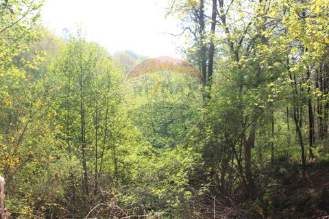 Helårsgrund i Fafe, Braga, Fafe - € 25.000 | Ref: 123331056-131 - foto 6