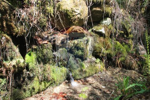 Helårsgrund i Fafe, Braga, Fafe - € 25.000 | Ref: 123331056-131 - foto 7