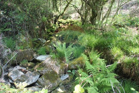 Helårsgrund i Fafe, Braga, Fafe - € 25.000 | Ref: 123331056-131 - foto 8