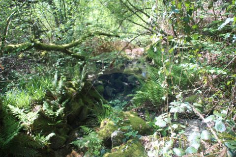 Helårsgrund i Fafe, Braga, Fafe - € 25.000 | Ref: 123331056-131 - foto 9