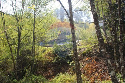 Helårsgrund i Fafe, Braga, Fafe - € 25.000 | Ref: 123331056-131 - foto 10