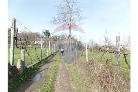 Helårsgrund i Braga, Braga, Braga - € 107.000 | Ref: 123331051-198 - foto 2