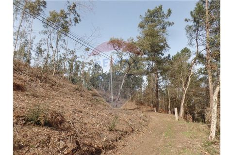 Helårsgrund i Braga, Braga, Braga - € 107.000 | Ref: 123331051-198 - foto 4