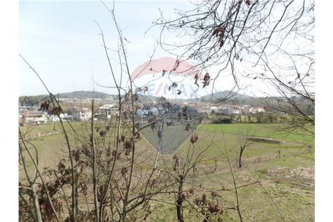 Helårsgrund i Braga, Braga, Braga - € 107.000 | Ref: 123331051-198 - foto 6