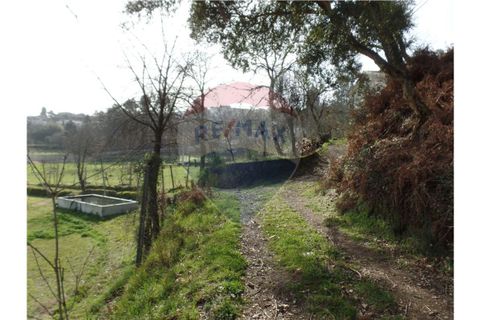 Helårsgrund i Braga, Braga, Braga - € 107.000 | Ref: 123331051-198 - foto 7
