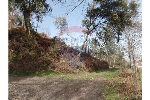 Helårsgrund i Braga, Braga, Braga - € 107.000 | Ref: 123331051-198 - foto 8