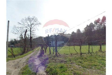 Helårsgrund i Braga, Braga, Braga - € 107.000 | Ref: 123331051-198 - foto 9