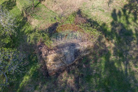 Helårsgrund i Ponte de Lima, Viana do Castelo, Ponte de Lima - € 39.000 | Ref: 123731008-82 - foto 3