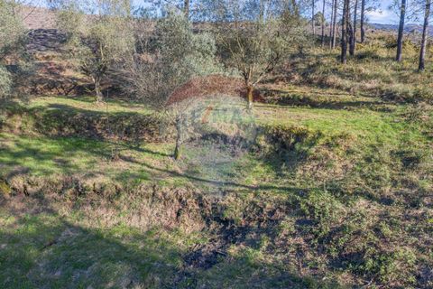 Helårsgrund i Ponte de Lima, Viana do Castelo, Ponte de Lima - € 39.000 | Ref: 123731008-82 - foto 4