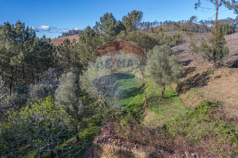 Helårsgrund i Ponte de Lima, Viana do Castelo, Ponte de Lima - € 39.000 | Ref: 123731008-82 - foto 5