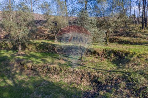Helårsgrund i Ponte de Lima, Viana do Castelo, Ponte de Lima - € 39.000 | Ref: 123731008-82 - foto 6
