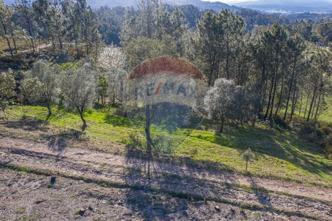 Helårsgrund i Ponte de Lima, Viana do Castelo, Ponte de Lima - € 39.000 | Ref: 123731008-82 - foto 7