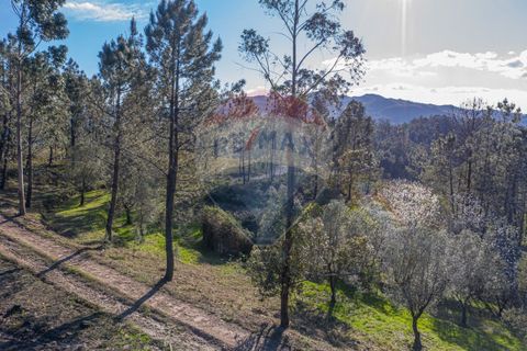 Helårsgrund i Ponte de Lima, Viana do Castelo, Ponte de Lima - € 39.000 | Ref: 123731008-82 - foto 8