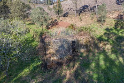 Helårsgrund i Ponte de Lima, Viana do Castelo, Ponte de Lima - € 39.000 | Ref: 123731008-82 - foto 12