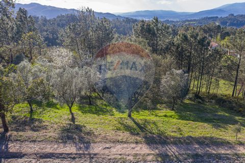 Helårsgrund i Ponte de Lima, Viana do Castelo, Ponte de Lima - € 39.000 | Ref: 123731008-82 - foto 13