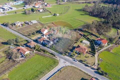 Helårsgrund i Barcelos, Braga, Barcelos - € 67.000 | Ref: 123731008-265 - foto 7