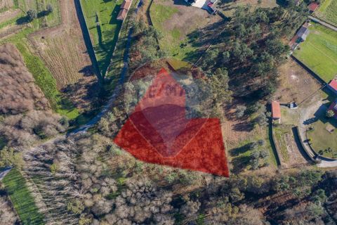 Helårsgrund i Ponte de Lima, Viana do Castelo, Ponte de Lima - € 60.000 | Ref: 123731008-301 - foto 1