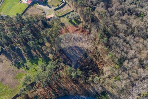 Helårsgrund i Ponte de Lima, Viana do Castelo, Ponte de Lima - € 60.000 | Ref: 123731008-301 - foto 2