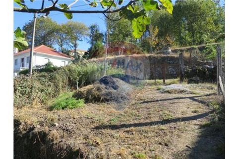 Villa i Celorico de Basto, Braga, Celorico de Basto - € 49.900 | Ref: 126221008-30 - foto 9